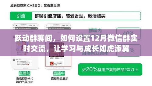 跃动群聊间，12月微信群实时交流指南，助力学习与成长如虎添翼