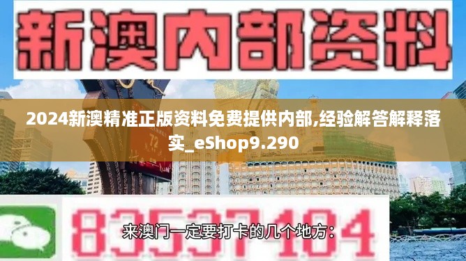 2024新澳精准正版资料免费提供内部,经验解答解释落实_eShop9.290