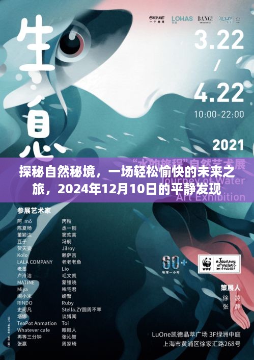 探秘自然秘境，未来之旅的轻松启程——2024年12月10日的平静发现