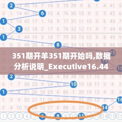 351期开羊351期开始吗,数据分析说明_Executive16.449