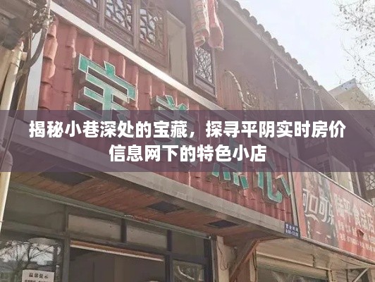 深入探索小巷宝藏，发现平阴实时房价下的特色小店魅力