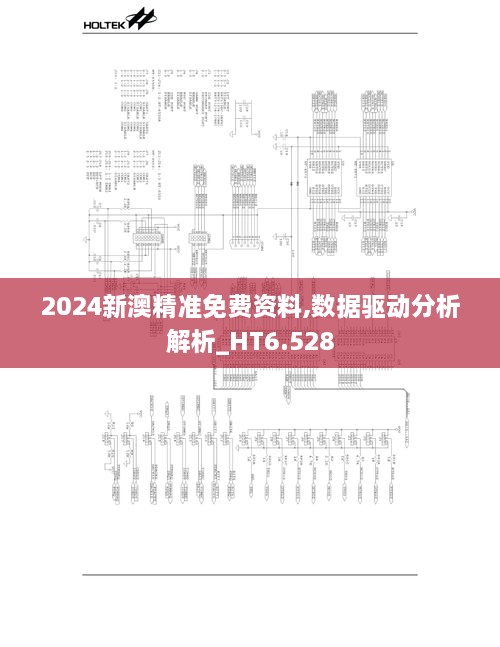 2024新澳精准免费资料,数据驱动分析解析_HT6.528