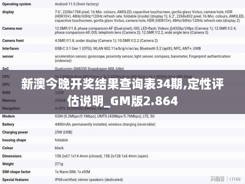 新澳今晚开奖结果查询表34期,定性评估说明_GM版2.864