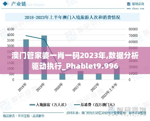 澳门管家婆一肖一码2023年,数据分析驱动执行_Phablet9.996