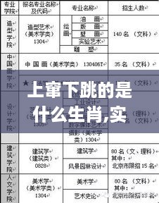 上窜下跳的是什么生肖,实地数据评估策略_SHD4.618