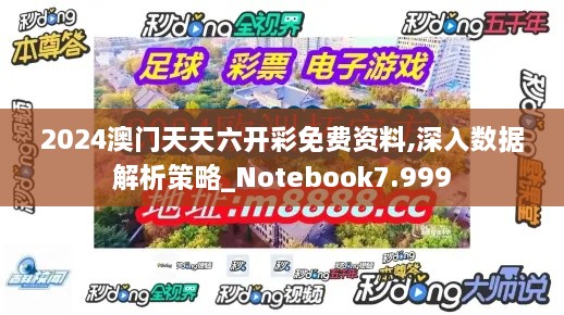 2024澳门天天六开彩免费资料,深入数据解析策略_Notebook7.999