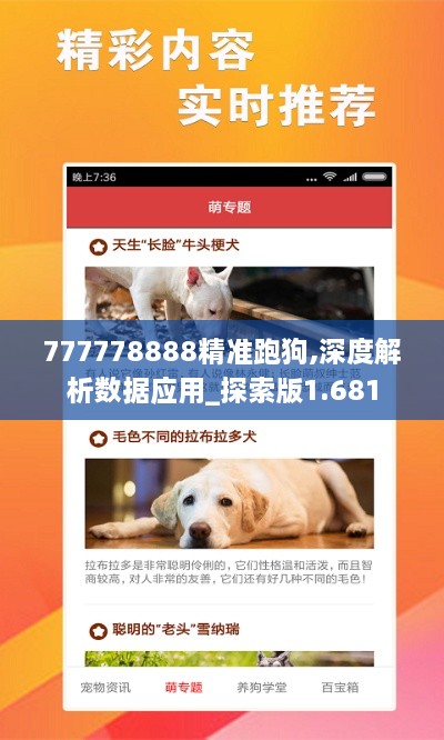 777778888精准跑狗,深度解析数据应用_探索版1.681