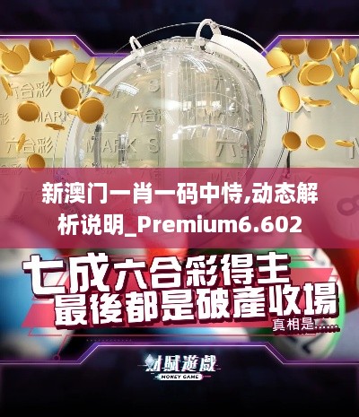 新澳门一肖一码中恃,动态解析说明_Premium6.602