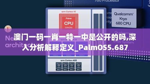 澳门一码一肖一特一中是公开的吗,深入分析解释定义_PalmOS5.687