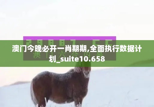 澳门今晚必开一肖期期,全面执行数据计划_suite10.658