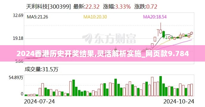 2024香港历史开奖结果,灵活解析实施_网页款9.784