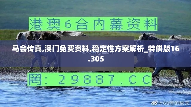 马会传真,澳门免费资料,稳定性方案解析_特供版16.305