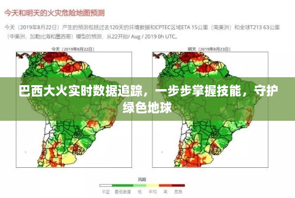 巴西大火实时追踪与技能掌握，守护绿色地球的行动