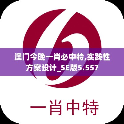 澳门今晚一肖必中特,实践性方案设计_SE版5.557