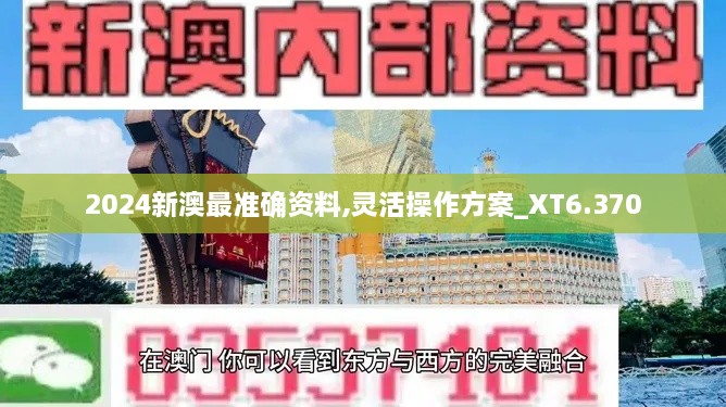 2024新澳最准确资料,灵活操作方案_XT6.370