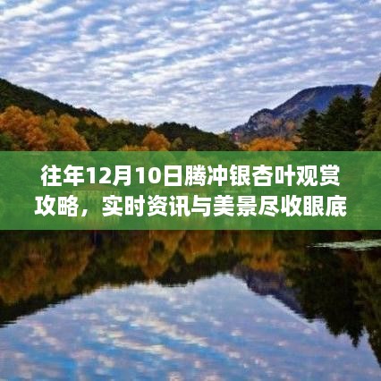 往年12月10日腾冲银杏叶观赏攻略，实时资讯与美景一览无余