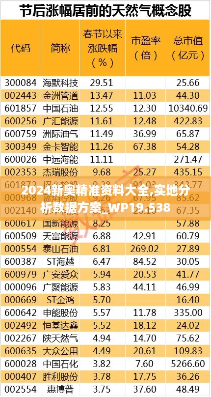 2024新奥精准资料大全,实地分析数据方案_WP19.538