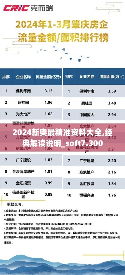 2024新奥最精准资料大全,经典解读说明_soft7.300