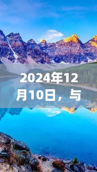 与自然美景的邂逅，实时投资与心灵宁静之旅——记于2024年12月10日