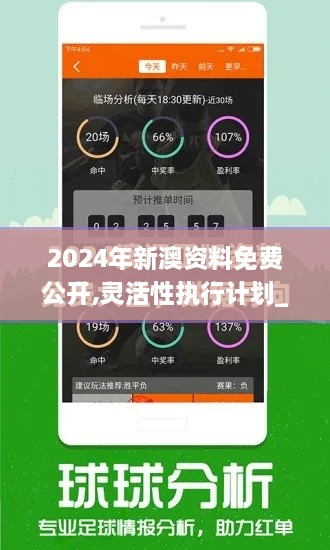 2024年新澳资料免费公开,灵活性执行计划_进阶版17.869