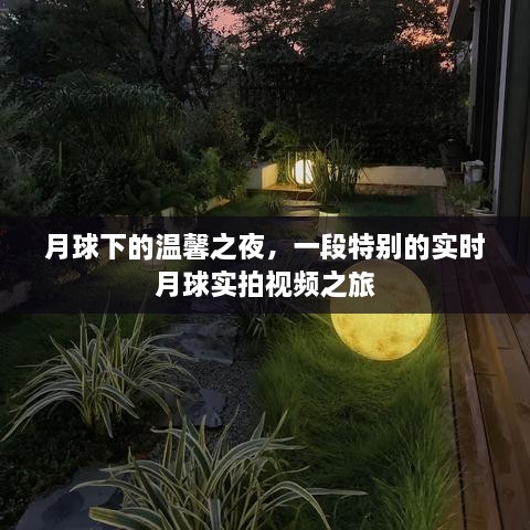 月球下的温馨之夜，实时月球实拍视频之旅的奇妙体验