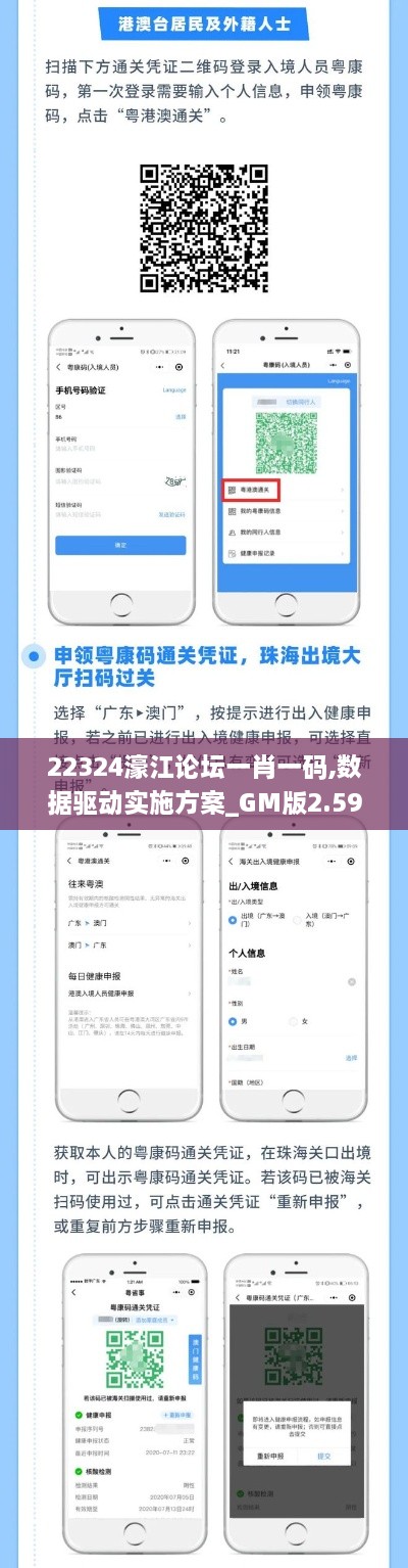 22324濠江论坛一肖一码,数据驱动实施方案_GM版2.591