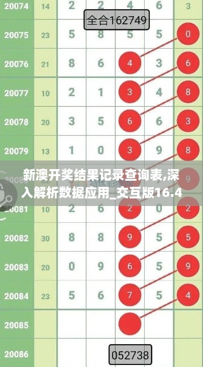 新澳开奖结果记录查询表,深入解析数据应用_交互版16.482