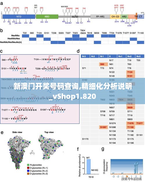 新澳门开奖号码查询,精细化分析说明_vShop1.820