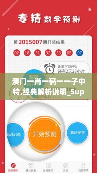 澳门一肖一码一一子中特,经典解析说明_Superior6.270