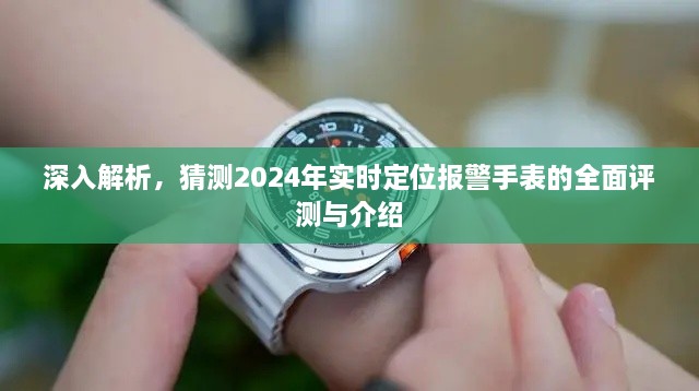 2024年实时定位报警手表全面评测与介绍深度解析