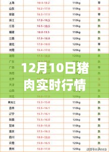 12月10日猪肉实时行情深度解析及走势预测