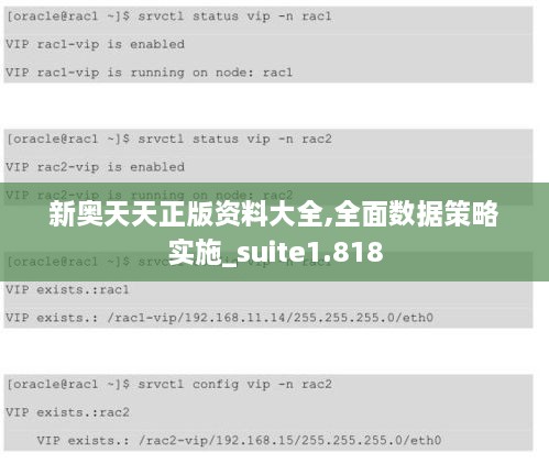 新奥天天正版资料大全,全面数据策略实施_suite1.818