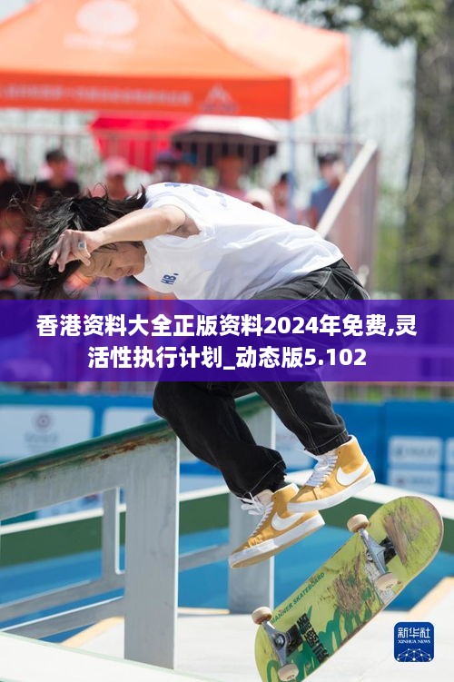 香港资料大全正版资料2024年免费,灵活性执行计划_动态版5.102