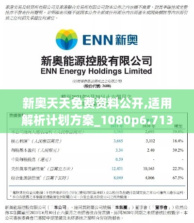 新奥天天免费资料公开,适用解析计划方案_1080p6.713