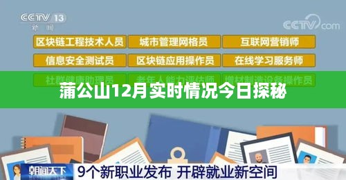 蒲公山12月实时探秘，今日最新发现