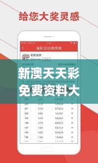 新澳天天彩免费资料大全查询,实效设计计划_专业款13.591