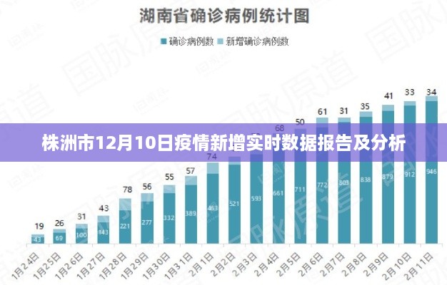 株洲市12月10日疫情最新实时数据报告与解析