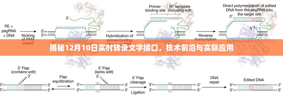 揭秘，实时转录文字接口技术前沿与实际应用解析（12月10日）