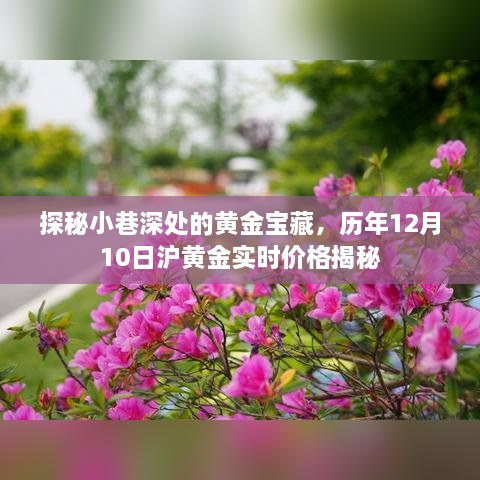 探秘小巷深处的黄金宝藏，揭秘历年沪黄金实时价格动态（附日期，12月10日）