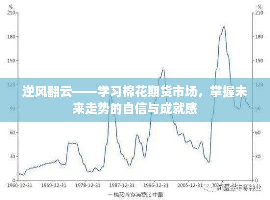 掌握棉花期货市场，逆风翻云，成就未来走势的自信之旅