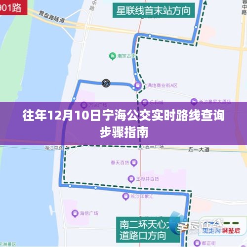 宁海公交实时路线查询指南，往年12月10日查询步骤详解