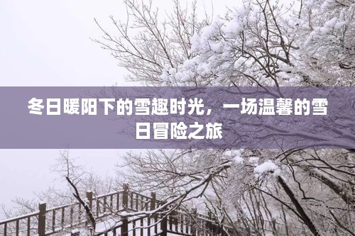 冬日暖阳雪趣时光，温馨雪日冒险之旅