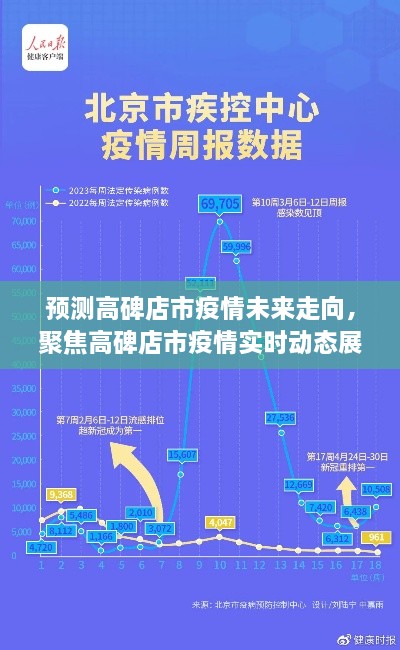 2024年12月18日 第22页