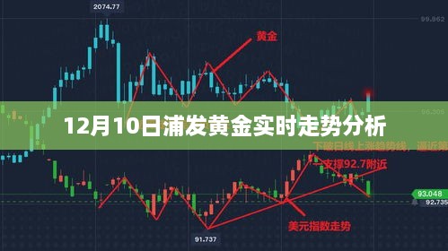 浦发黄金实时走势分析，最新动态与预测（12月10日）