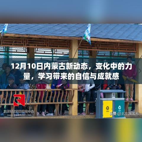 12月10日内蒙古新动态，变革之力与学习带来的自信与成就感