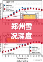 郑州雪况深度解析，实时报道与全面评测