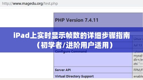 iPad上实时显示帧数的详细步骤教程，适合初学者与进阶用户