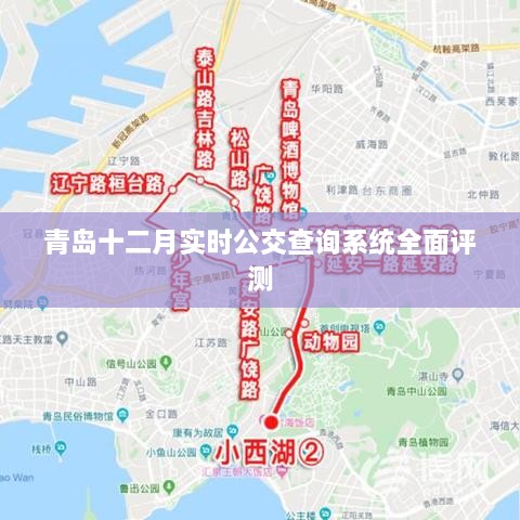 青岛十二月公交查询系统全面解析与评测