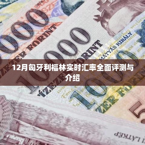 12月匈牙利福林汇率全面解析与实时评测介绍