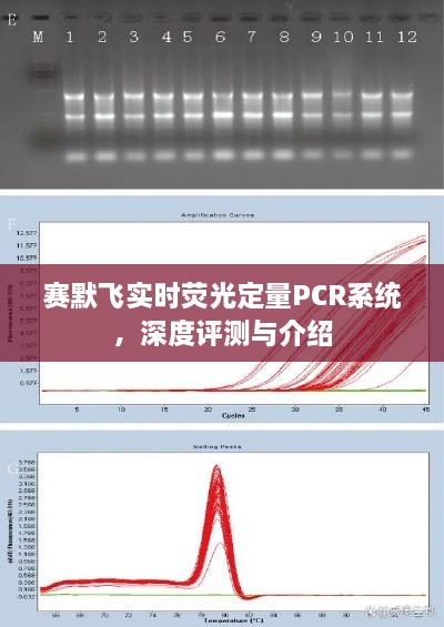 赛默飞实时荧光定量PCR系统全面评测与介绍